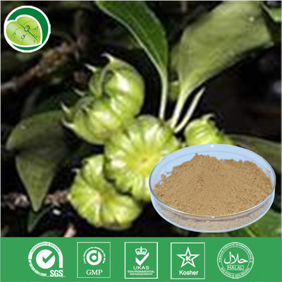 植物提取物-廠家供應(yīng)半夏提取物20:1-植物提取物盡在阿里巴巴-西安源森生物科技.