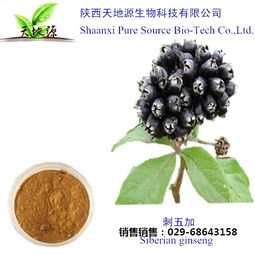 刺五加提取物 優(yōu)質(zhì)刺五加提取物 天地源生物科技