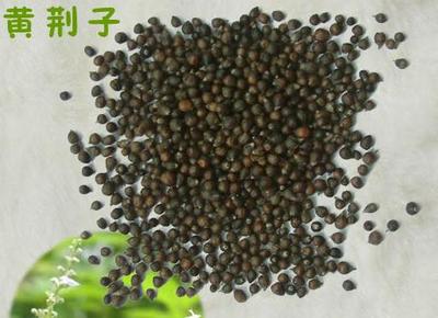 黃荊子提取物_中國蘭州_蘭州沃特萊斯生物科技_植物提取物-