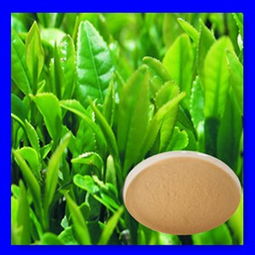 紅茶茶多酚 價(jià)格、型號規(guī)格與植物提取物特性詳解