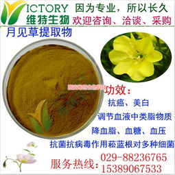 月見草提取物限時促銷，西安維特生物科技為您帶來純正植物精華